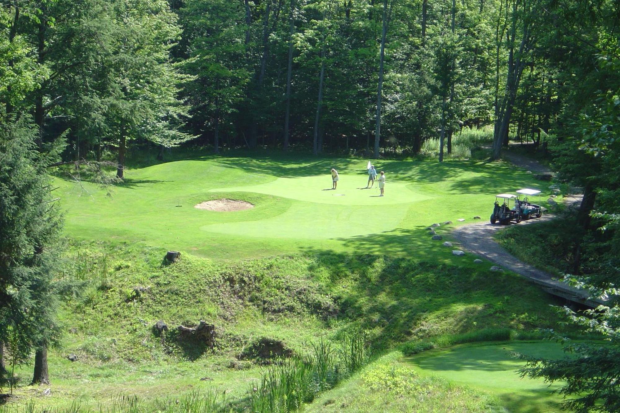 Caberfae Peaks Ski & Golf Resort Harrietta ภายนอก รูปภาพ